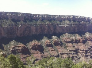 The Grand Canyon Has a lot More Green Than I Expected