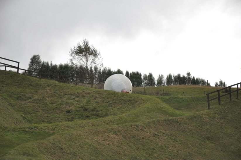 Zorbing In New Zealand