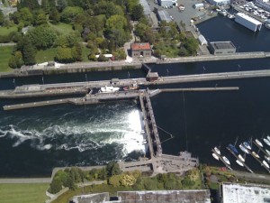 Ballard Locks