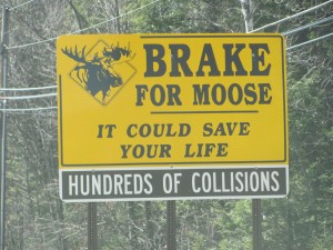 Moose Sign