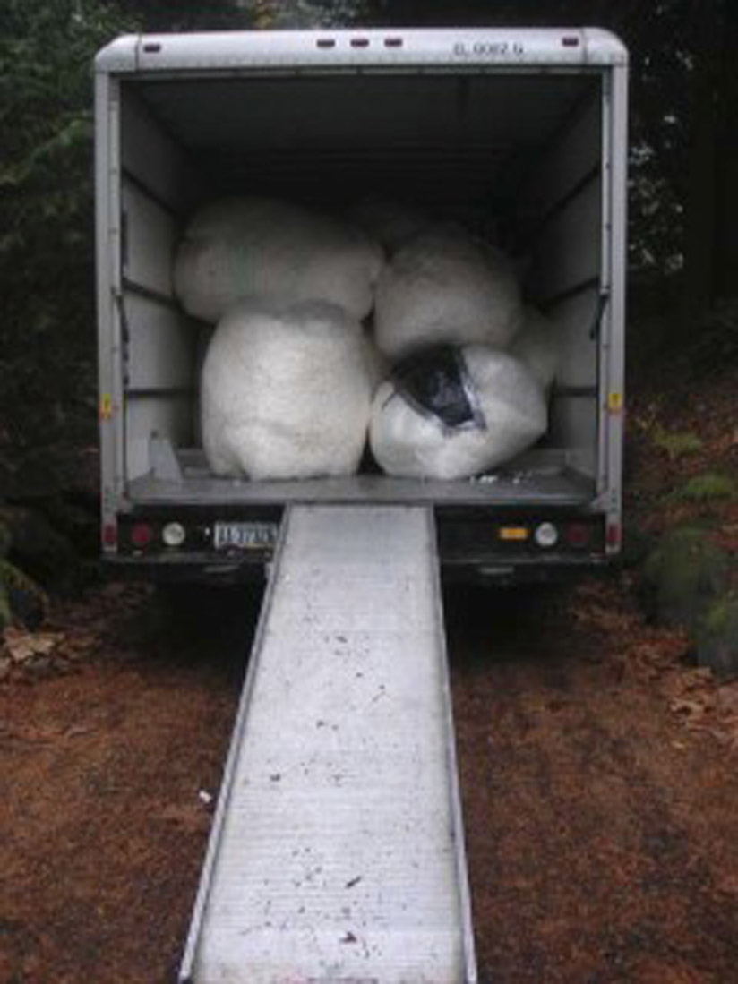 Packing Peanuts in U-haul