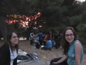 Picnic Chats