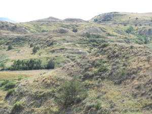 North Dakota Grasslands