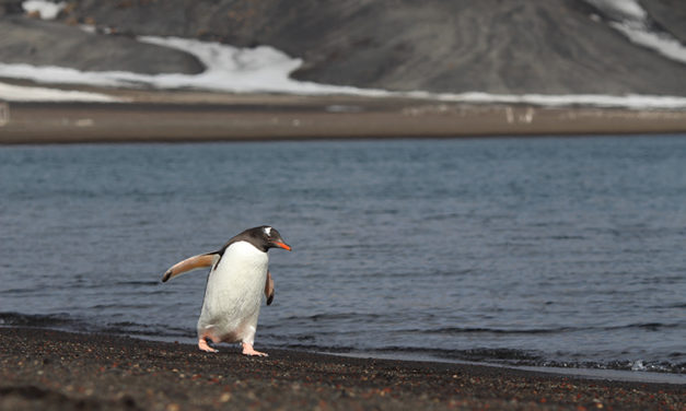 How I Got To Antarctica