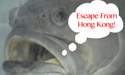 Escape From Hong Kong!