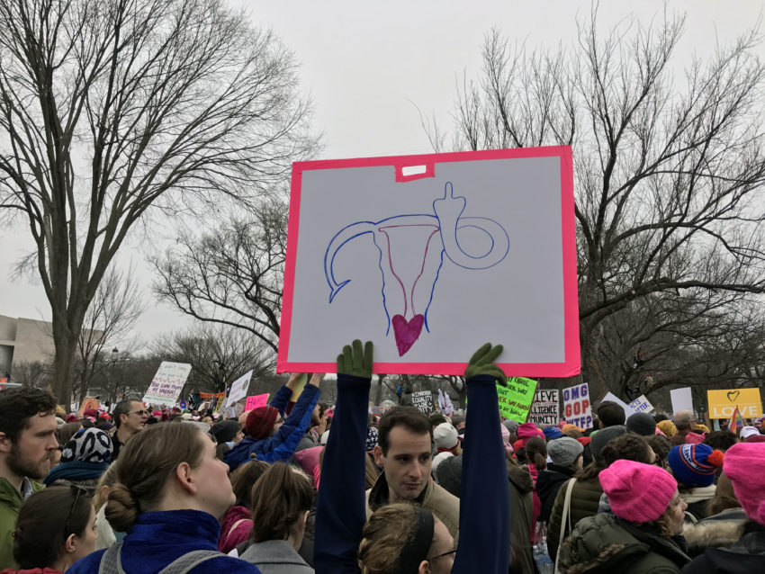 Women's March on Washington Protesters