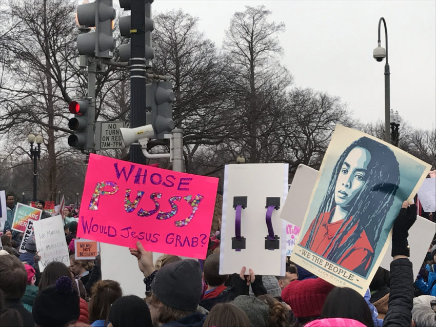 Women's March on Washington Protesters